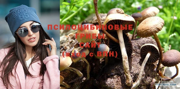 скорость mdpv Елабуга
