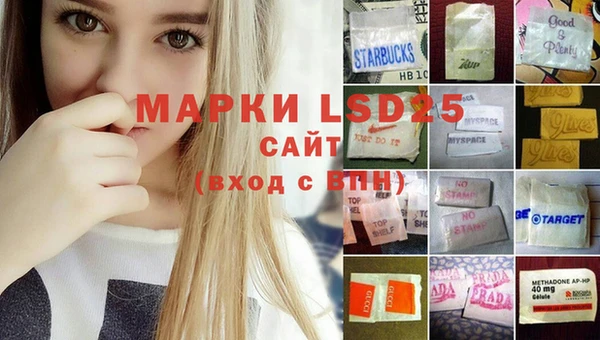 шишки Зерноград