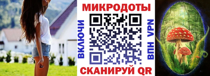Галлюциногенные грибы Psilocybe  Купить закладки  Луховицы 